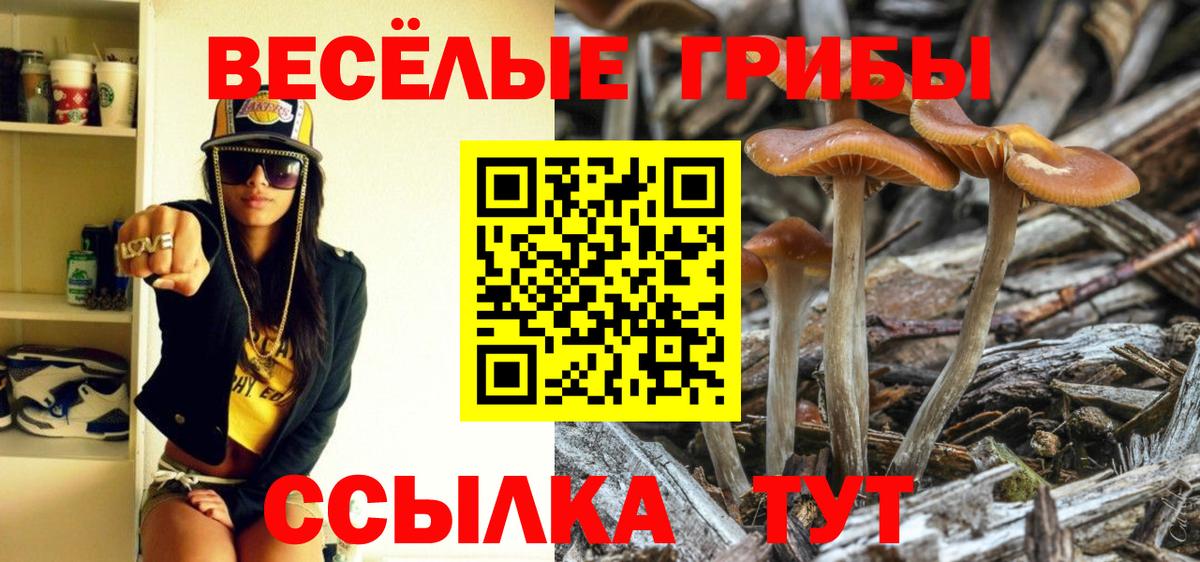 Псилоцибиновые грибы прущие грибы Тольятти